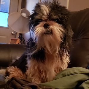 Meet your Posher, Brandon